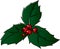 Christmas holly sprig