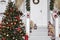 Christmas home facade festive decoration view colorful toys and objects near building porch in white red and green colorful