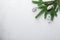 Christmas horizontal banner. Fir tree branches with silver decorative oaks on stone background. Top view. Copy space