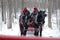 Christmas Horses on a Snowy Day