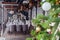 Christmas interior veranda modern restaurant setting, serving banquet, gray textile chairs, serving tables, wine glasses, plates,