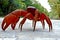 Christmas Island Red crab