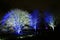 Christmas at Kew is a magical light trail across Kew Gardens making the perfect festive winter evening event