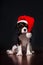 Christmas king charles spaniel Dog with Santa hat