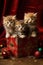 Christmas kittens. gifts, garlands, Christmas, New Year. Generative AI