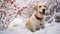 Christmas Labrador Dog portrait background. Cheerful Cute Golden Retriver puppy wearing Christmas costume with New Year