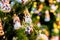 Christmas ladybugs hanging on a branch of a christmas tree