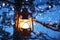 Christmas lantern in magic winter evening snowy forest hanging on snow covered tree