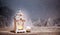 christmas lantern and snowy firs in the background