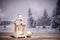 christmas lantern and snowy firs in the background