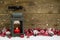 Christmas latern with red candle and balls on wooden background.