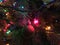 Christmas Lights, close up