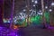 Christmas Lights Decoration along Lafarge Lake Path