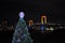 Christmas lightup at Tokyo Bay