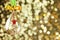 Christmas magic golden background with glass bauble and colorful