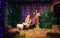 Christmas Manger scene with figures including Jesus