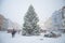 Christmas market in the snowstorm