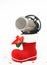 Christmas microphone