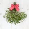 Christmas Mistletoe Decoration