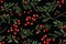 Christmas mistletoe festive seamless pattern background