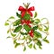 Christmas Mistletoe and Holly bouquet