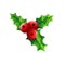 Christmas mistletoe icon