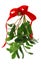 Christmas Mistletoe Isolated