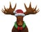 Christmas Moose