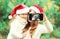 Christmas mother and child taking picture self portrait on smartphone together, closeup, blurred background