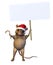 Christmas Mouse with Blank Sign - includes clipping path