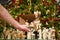 Christmas nativity scene with blurred Chrstmas tree in background