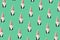 Christmas and New Year 2022 pattern concept. A Christmas dwarf with a red and white hood and white beard on a green background