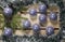 Christmas and New Year Concept. Fir tree branch with cones in a frame tinsel, garland and blue New Year balls on wooden board, Top