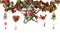 Christmas or New Year decor with hanging garland of fir branches, red berries, pine cones and other wooden ornaments. Winter