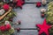 Christmas or New Year decoration background: moss, berries, star