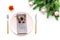 Christmas and new year decoration with gift, plate and fir tree white table background top view