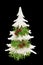 Christmas and New Year decorations: figures of Christmas tree in