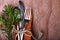 Christmas and New Year holiday table setting, fork, spoon, knife with rope, Christmas tree branch and berry, cinnamon and cones. C