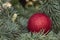 Christmas / New Year Red Decorative Ball on The Pine Tree