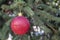 Christmas / New Year Red Decorative Element Hanged on The Pine Tree