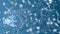 Christmas and New Year seamless looping animation. Christmas snowflakes and bell on blue background. Winter wonderland