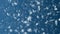 Christmas and New Year seamless looping animation. Christmas snowflakes on dark blue background. Winter wonderland magic