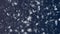 Christmas and New Year seamless looping animation. Christmas snowflakes on dark blue background. Winter wonderland magic