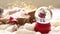 christmas and new year toy snow ball with santa, gift box, winter and festive mood, cristmas vibe