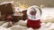 christmas and new year toy snow ball with santa, gift box, winter and festive mood, cristmas vibe