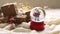 christmas and new year toy snow ball with santa, gift box, winter and festive mood, cristmas vibe