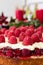 Christmas New Years sponge hazelnut almonds cake with whipped vanilla cream frosting garnished with fresh raspberries powdered