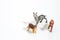 Christmas objects, plastic animals dogs for nativity diorama iso