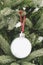 Christmas ornament ball pictures frame