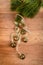 Christmas ornament. Five golden, metal little bells hung on a spruce twig.